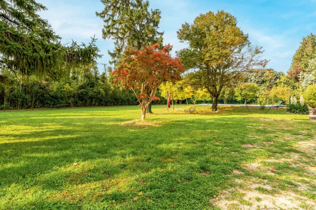 Jardin et espace détente Provence Cabannes